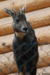 Zoologická a botanická zahrada města Plzně