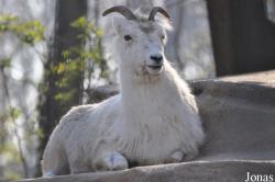 Zoo Leipzig