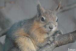 Zoo Halle