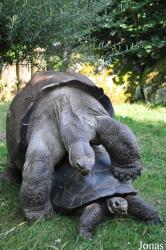 Zoologischer Garten Zürich
