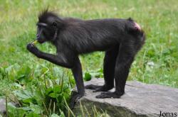 Dublin Zoo