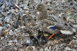 Naturerlebnispark Kirchheim