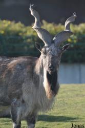 Tierpark Berlin