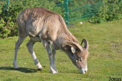 Tierpark Berlin