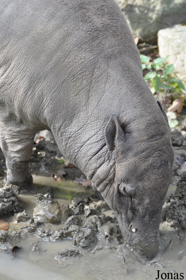 Zoo Berlin