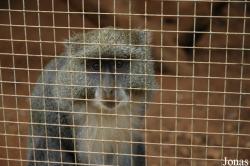 Zoo de Carmona