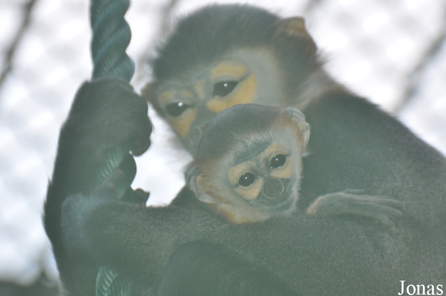 Xiangjiang Safari Park Guangzhou