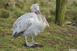 Blackbrook Zoological Park