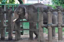 Saigon Zoo & Botanical Gardens