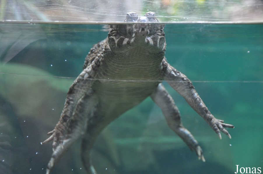 Zoo Leipzig