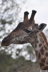 Arusha National Park