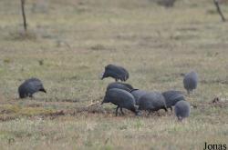 Arusha National Park
