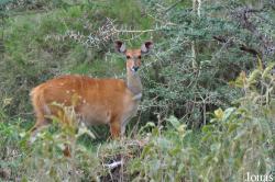 Arusha National Park