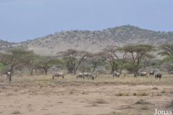 Enduimet Wildlife Management Area