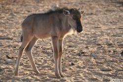 Zoological Center Tel Aviv-Ramat Gan