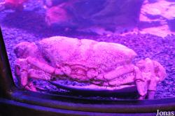 Scarborough Sea Life Sanctuary