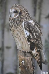 Zoo Rostock