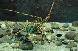 Corfu Aquarium
