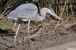 San Diego Zoo