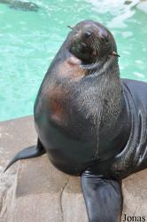 SeaWorld San Diego