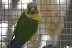 Vogelpark Olching