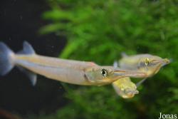 Zoo Wrocław