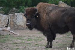 Thüringer Zoopark Erfurt