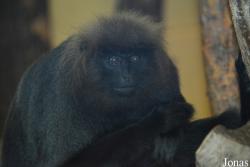 Thüringer Zoopark Erfurt