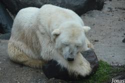 The Maryland Zoo in Baltimore
