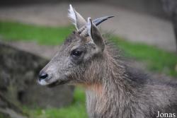 Zoologischer Garten Magdeburg