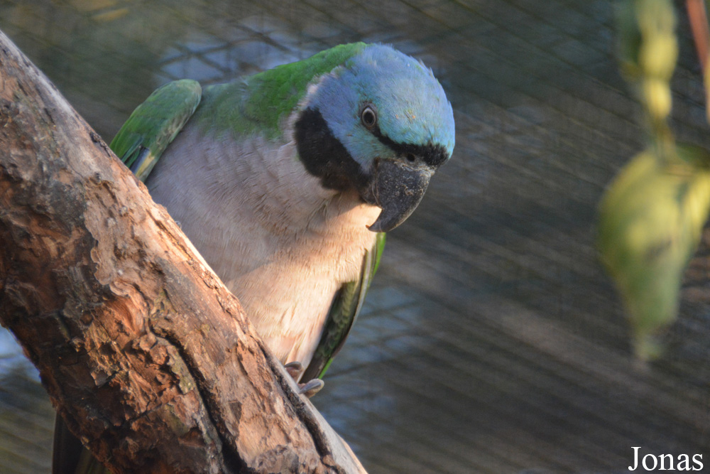 Zoo Zürich