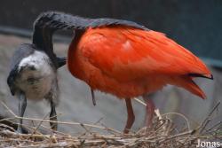 Zoologischer Garten Augsburg
