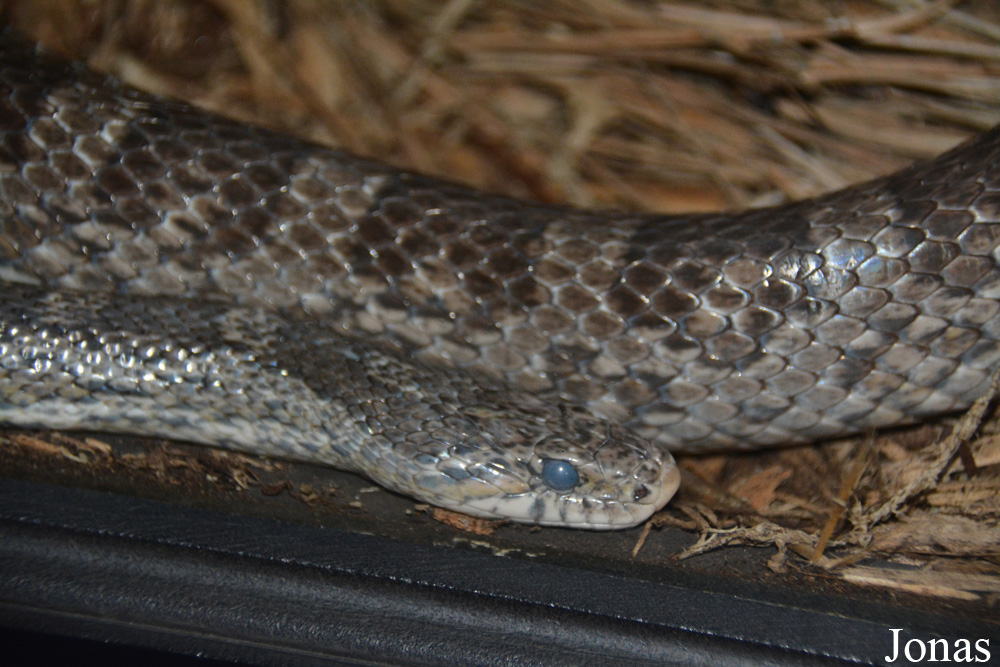 Indianapolis Zoo