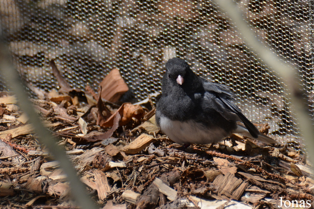 Columbus Zoo and Aquarium