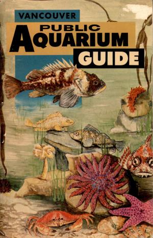 Guide 1961