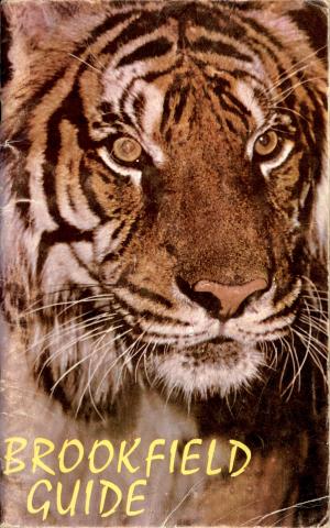 Guide 1971