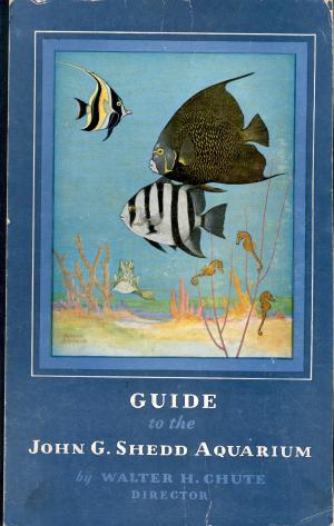Guide 1960