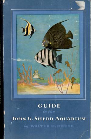 Guide 1964