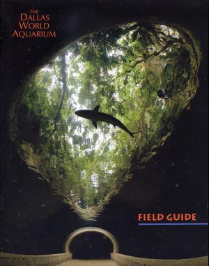 Guide env. 2008