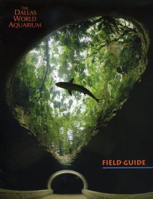 Guide env. 2010