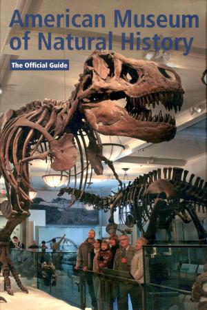 Guide 2004