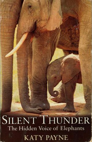 <strong>Silent Thunder</strong>, The Hidden Voice of Elephants, Katy Payne, Orion Books, London, 1999