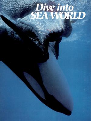 Guide 1989