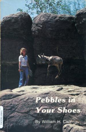 <strong>Peebles in Your Shoes</strong>, William H. Carr, Arizona-Sonora Desert Museum, Tucson, 1982