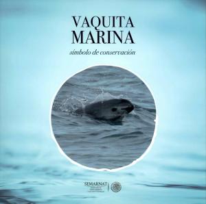 <strong>Vaquita Marina, simbolo de conservacion</strong>, Semarnat, 2018
