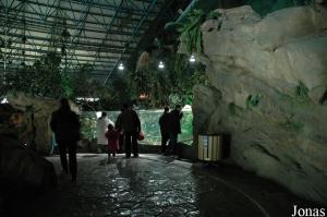 Rainforest Adventure, premier hall de l'aquarium