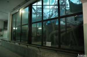 Une des deux loges des chimpanzés dans le bâtiment des anthropoïdes inauguré en 1998