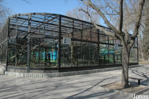 Installation pour langurs, gibbons, atèles et espèces diverses