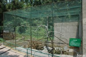 Cage des gibbons à favoris roux