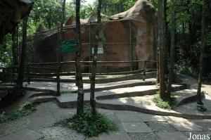 Cage des rhinopithèques